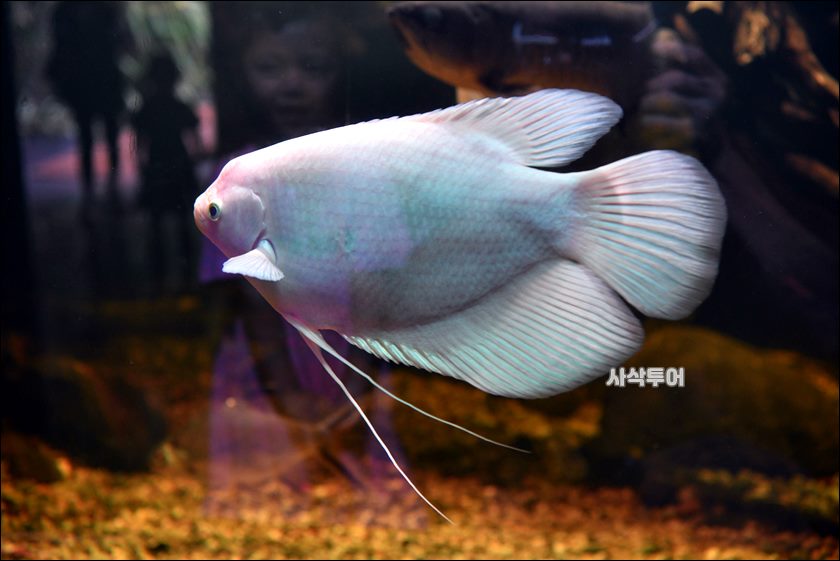 민물박물관050.JPG