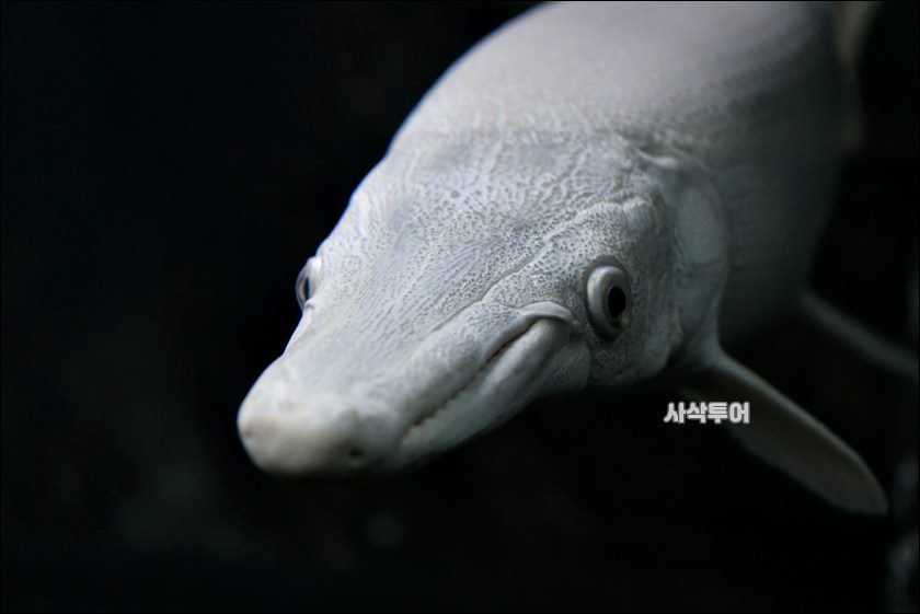 민물박물관378.JPG