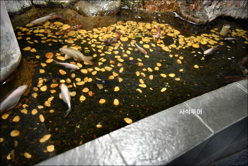 민물박물관152.JPG