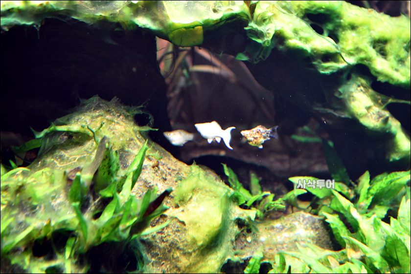 민물박물관024.JPG
