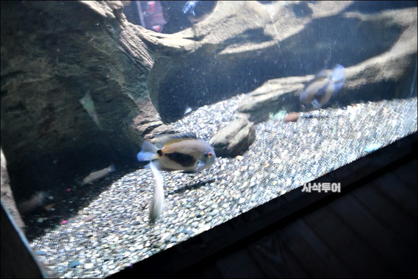 민물박물관344.JPG