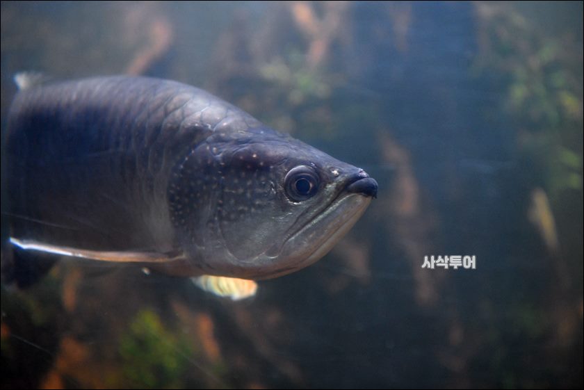 민물박물관179.JPG