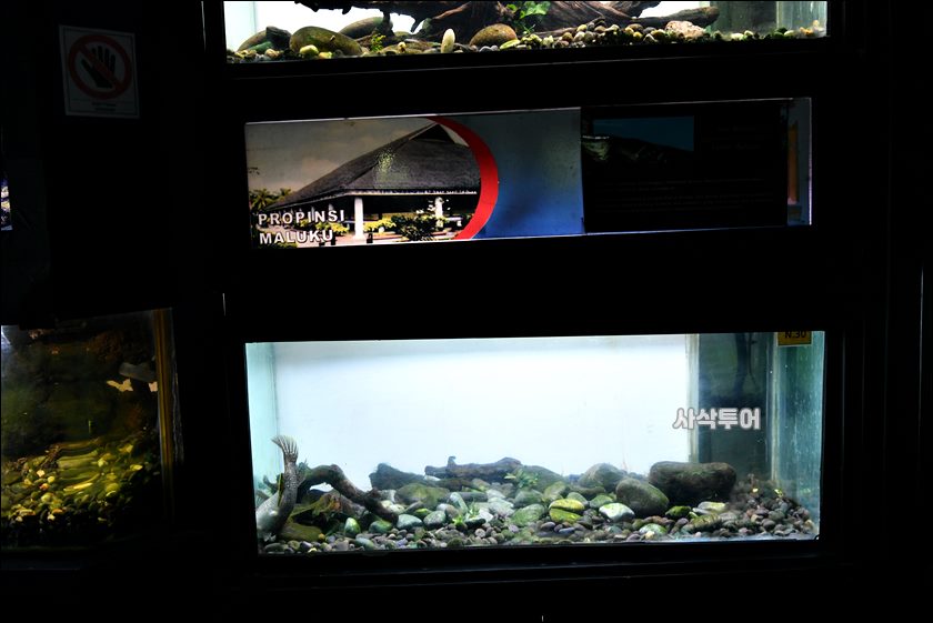 민물박물관283.JPG