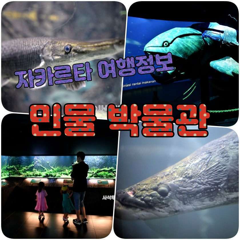 자카르타 여행지 - 민물박물관 (Museum Aquarium Air Tawar).jpg