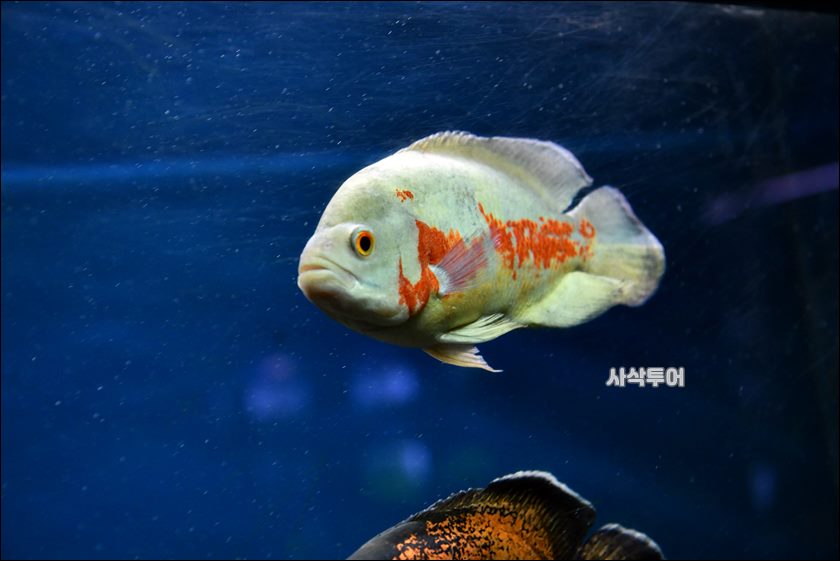 민물박물관208.JPG