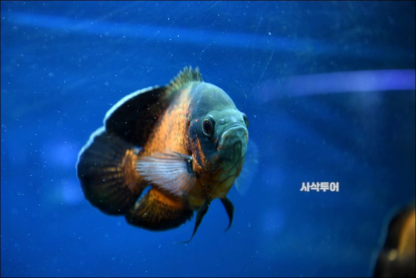 민물박물관206.JPG