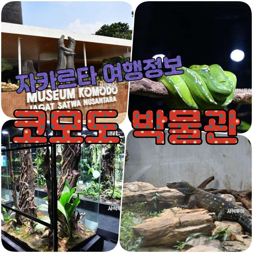 자타르타여행지 - (따만미니 코모도 &amp; 파충류 박물관) Museum Fauna Indonesia Komodo.jpg