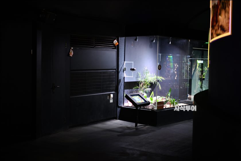 코모도 박물관005.JPG
