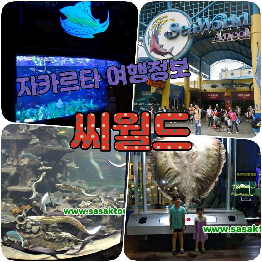 Sea World Ancol (씨월드 안쫄).jpg