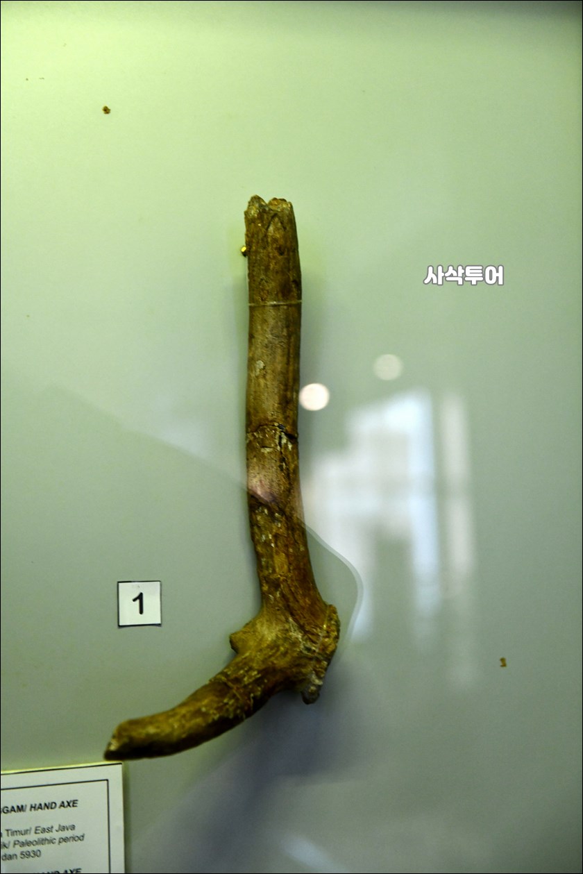 국립박물관 신관052.JPG