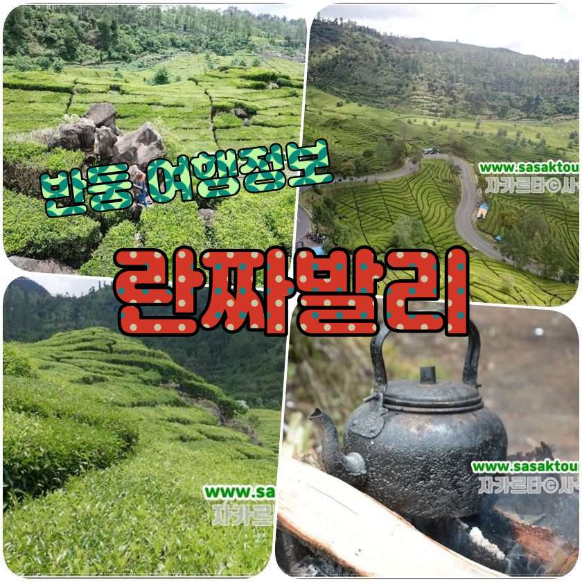 반둥여행지 - 란짜발리 Ranca Bali Tea Plantation.jpg