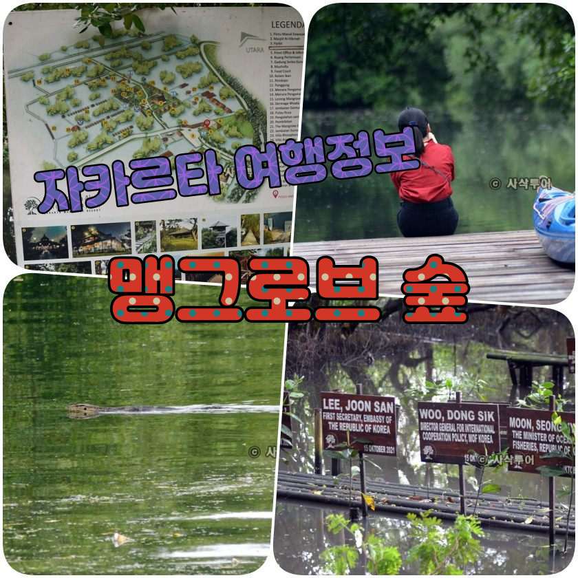 자카르타 맹그로브숲 - Taman mangrove Jakarta.jpg