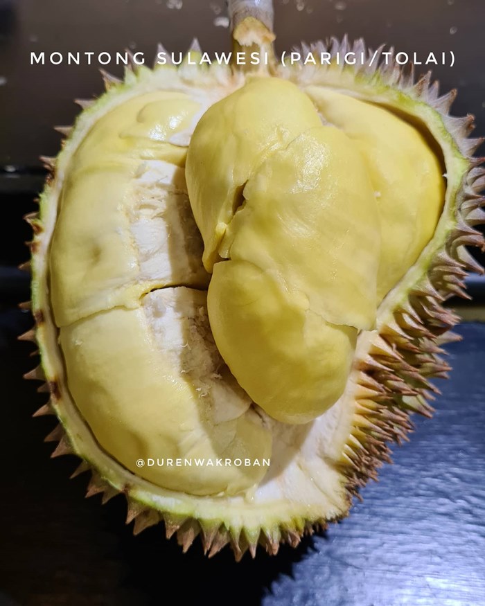 자카르타두리안맛집011.jpg