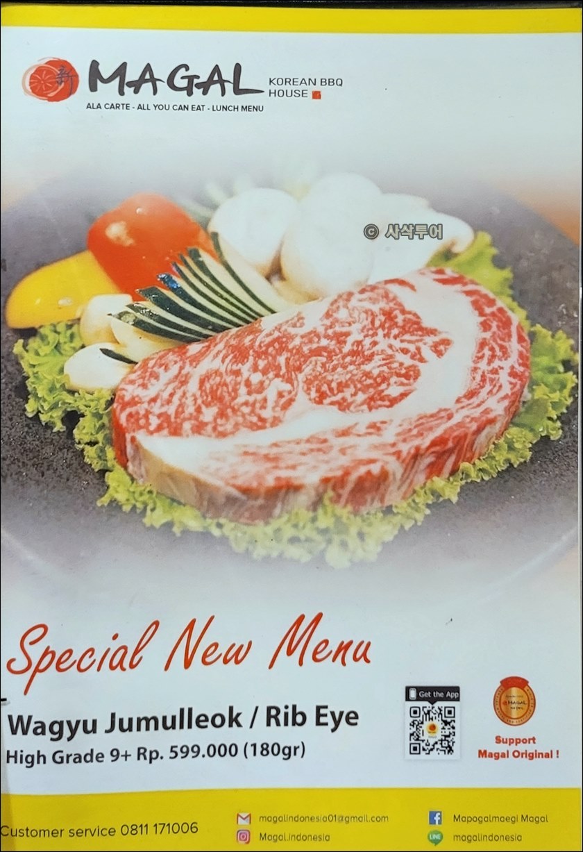 폰독인다 마포갈매기040.jpg