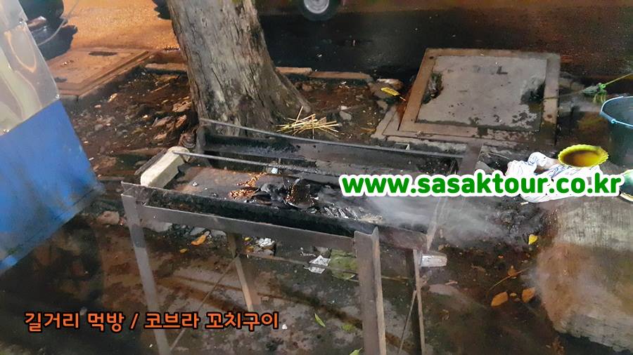 코브라꼬치구이007.jpg