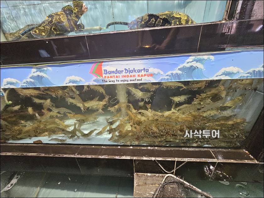 반다르016.jpg