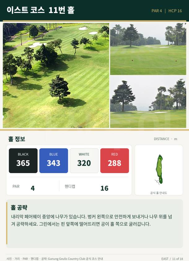 EAST_HOLE_11.jpg
