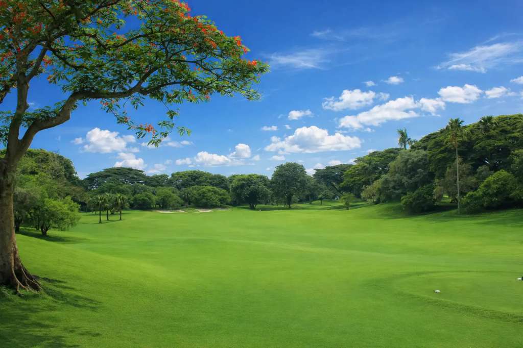 teebox-hole1.jpg