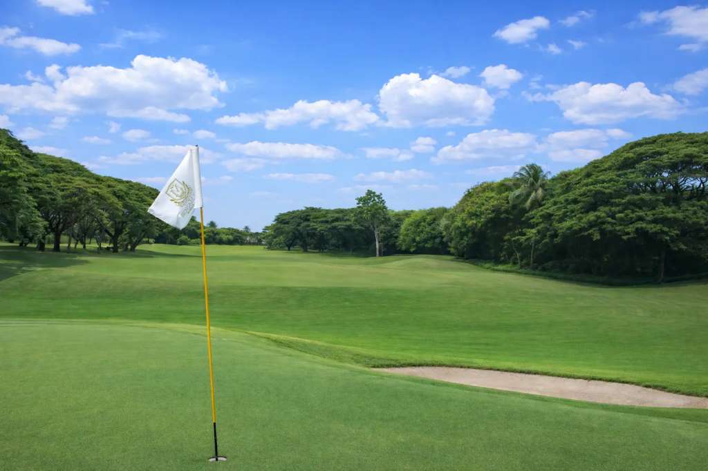 teebox-hole14.jpg