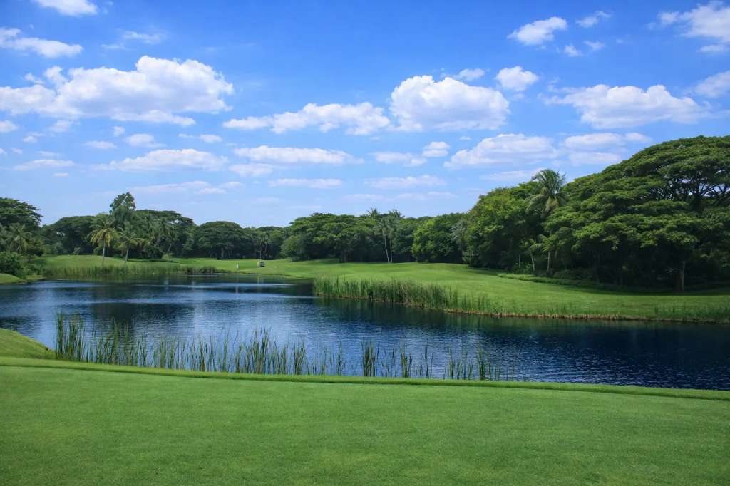 teebox-hole17.jpg