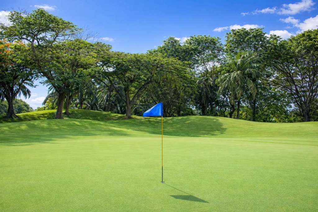 teebox-hole6.jpg