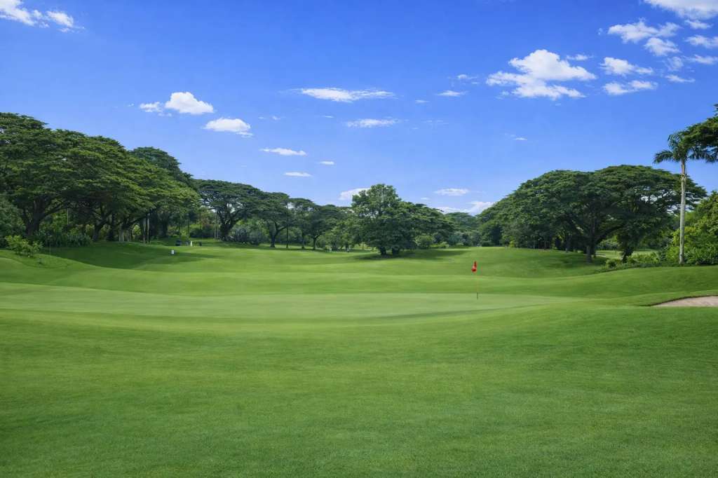 teebox-hole9.jpg