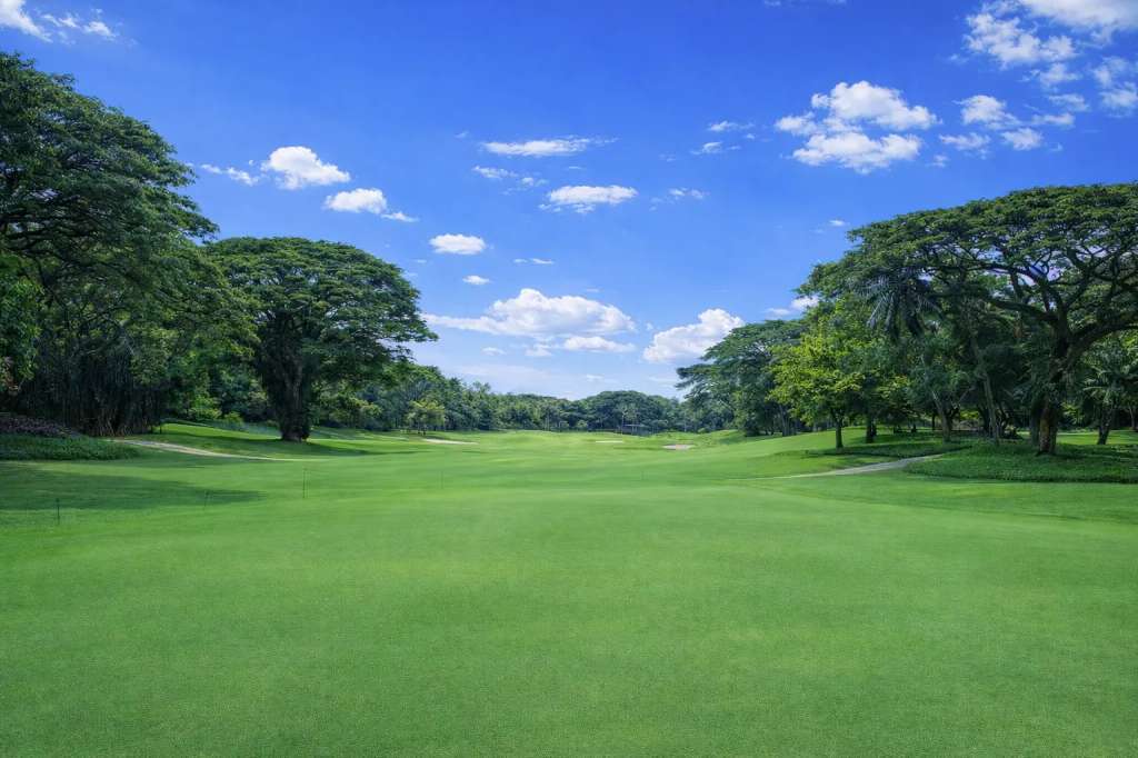 teebox-hole16.jpg