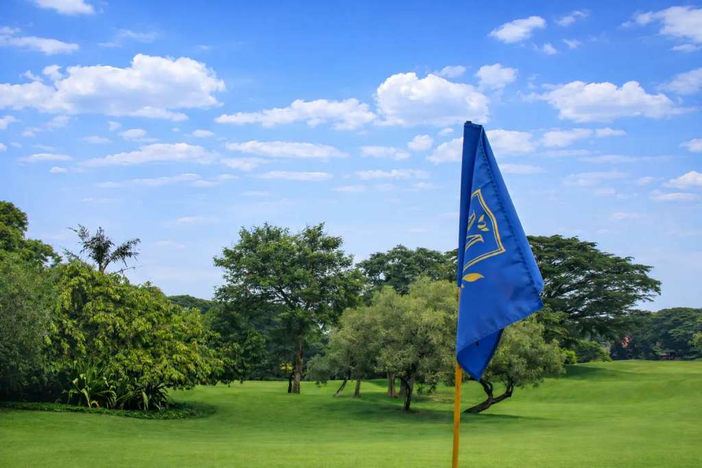 teebox-hole10.jpg