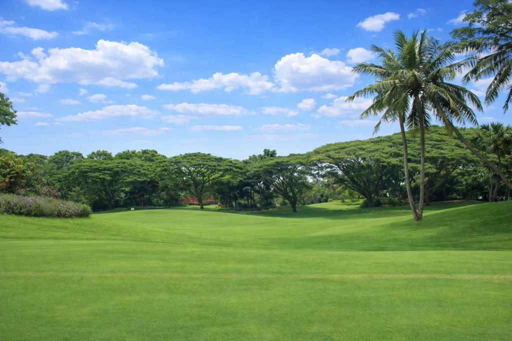 teebox-hole12.jpg