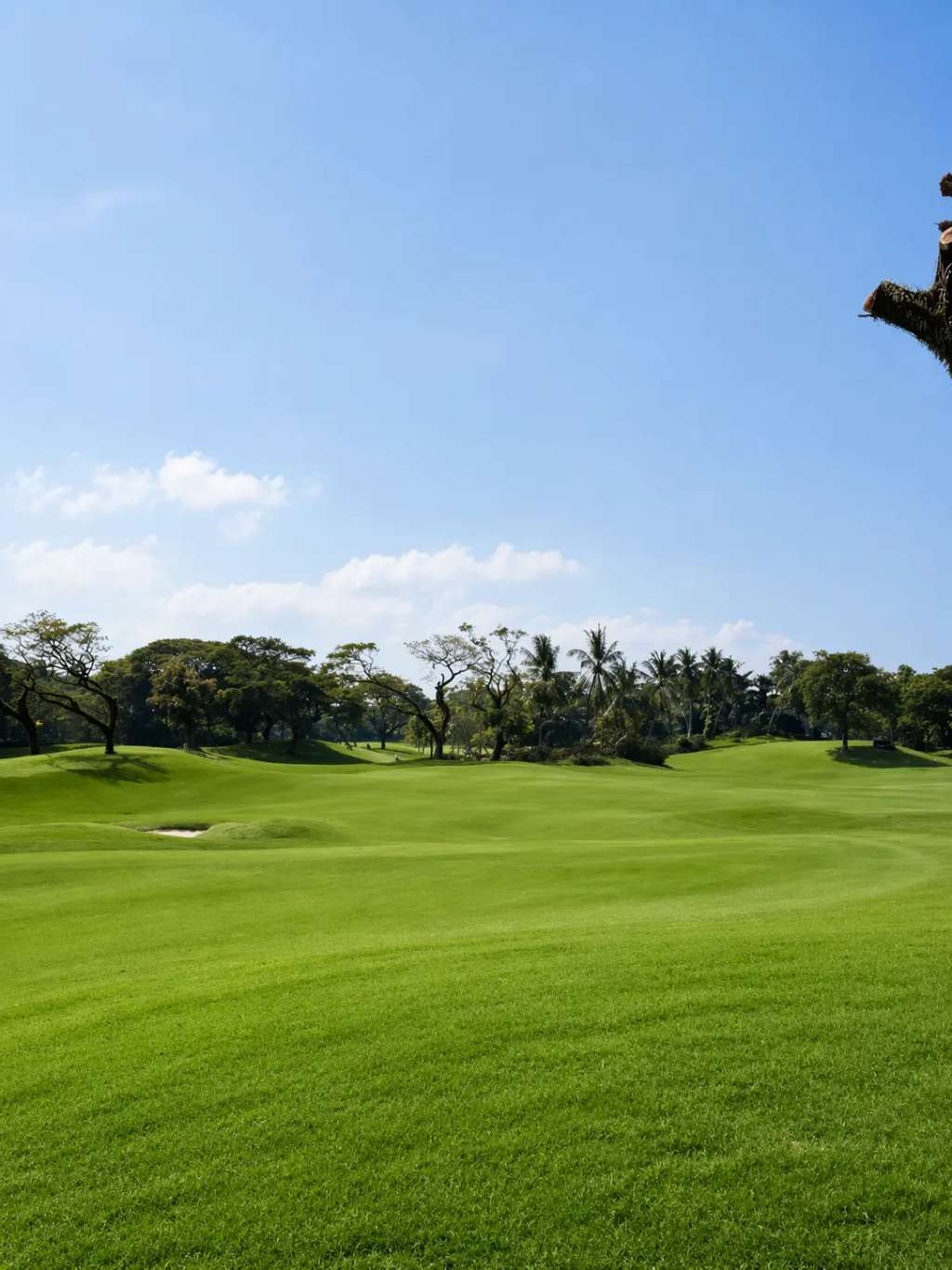 teebox-hole11.jpg
