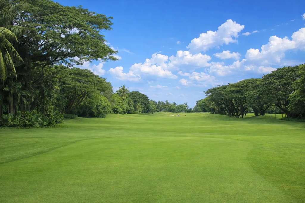 teebox-hole15.jpg