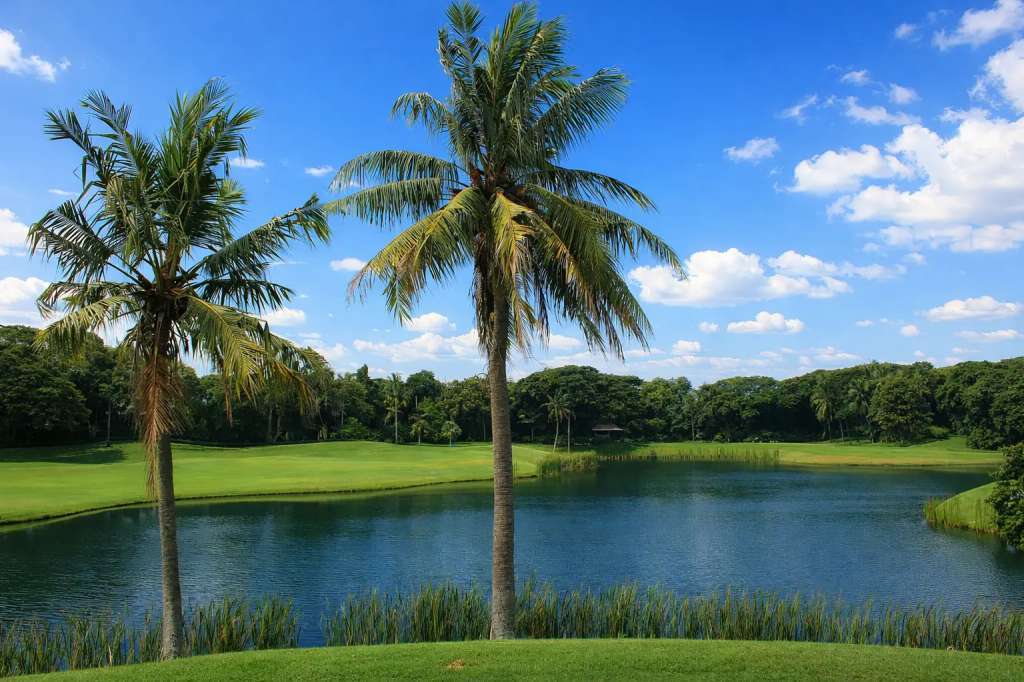 teebox-hole13.jpg
