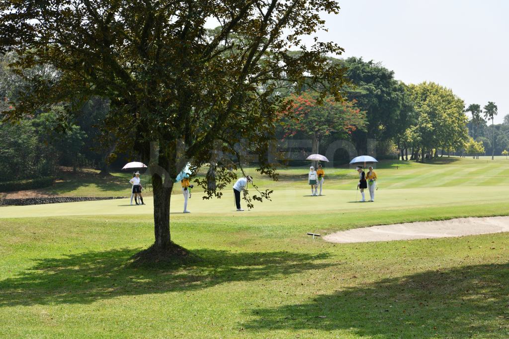 자바베카 골프 클럽DSC_9842.jpg