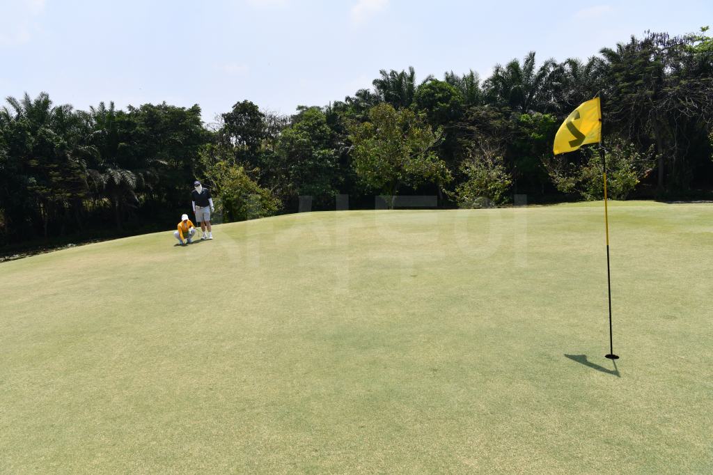 자바베카 골프 클럽DSC_9876.jpg