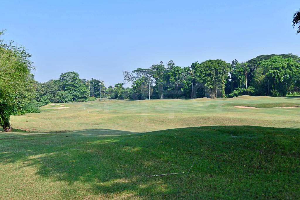 BSD골프클럽DSC_8064.jpg