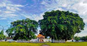 족자카르타왕궁alun alun kidul.jpg