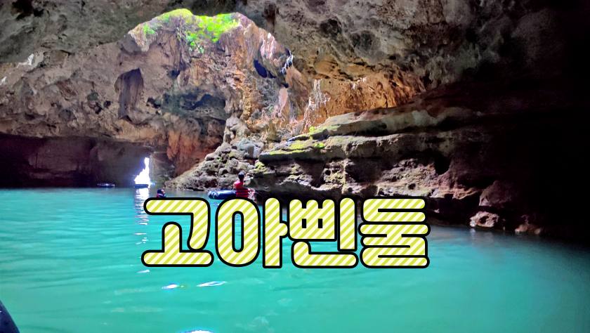 고아삔둘11111.JPG