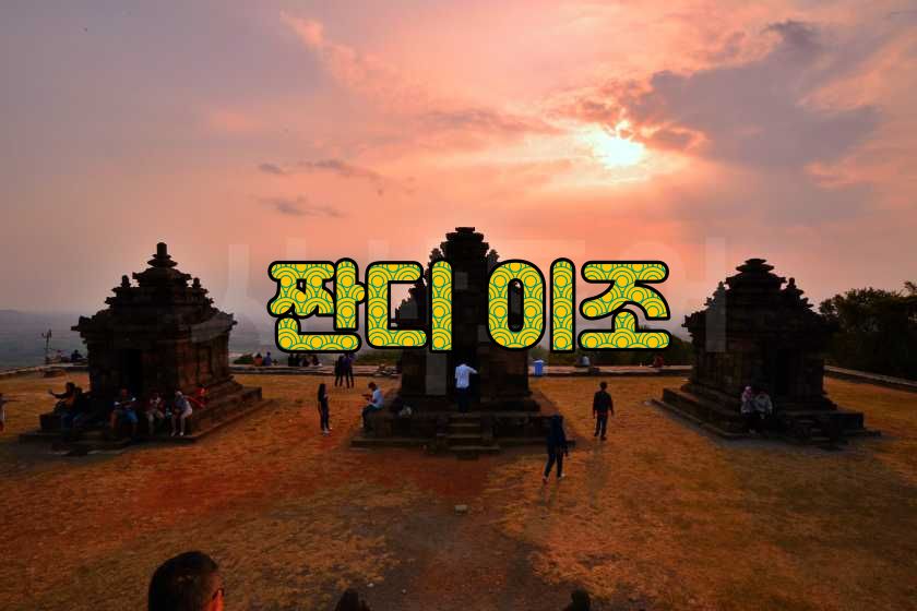 짠디이조.jpg