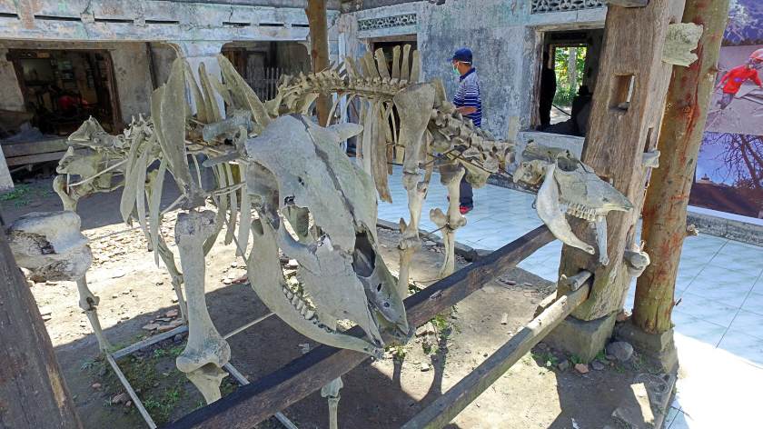 museumhatikuDJI_0014.jpg
