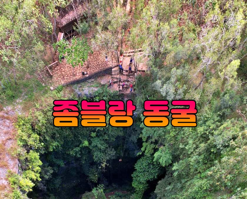 고아좀블랑.jpg