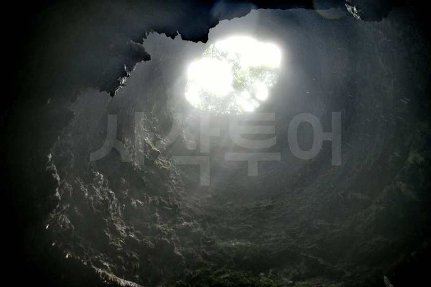 고아 좀블랑DSC_9989.jpg