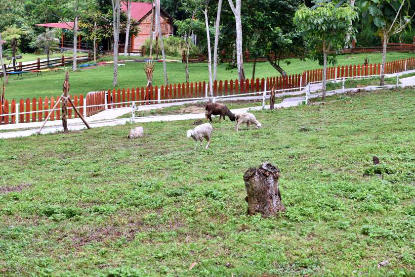 DSC_3515.jpg