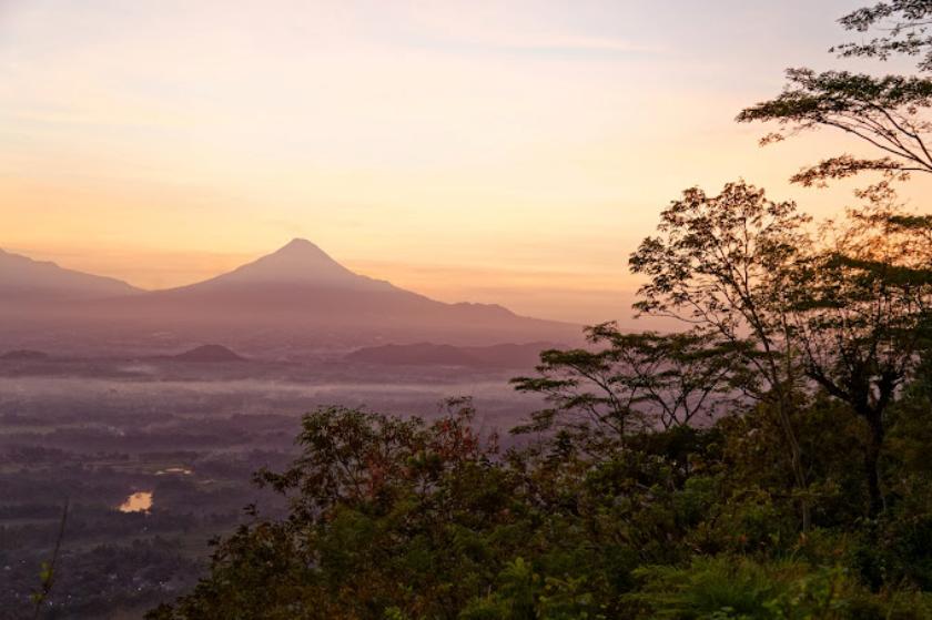 플라타란족자IMG_4861_WK_sunrise panorama.jpg