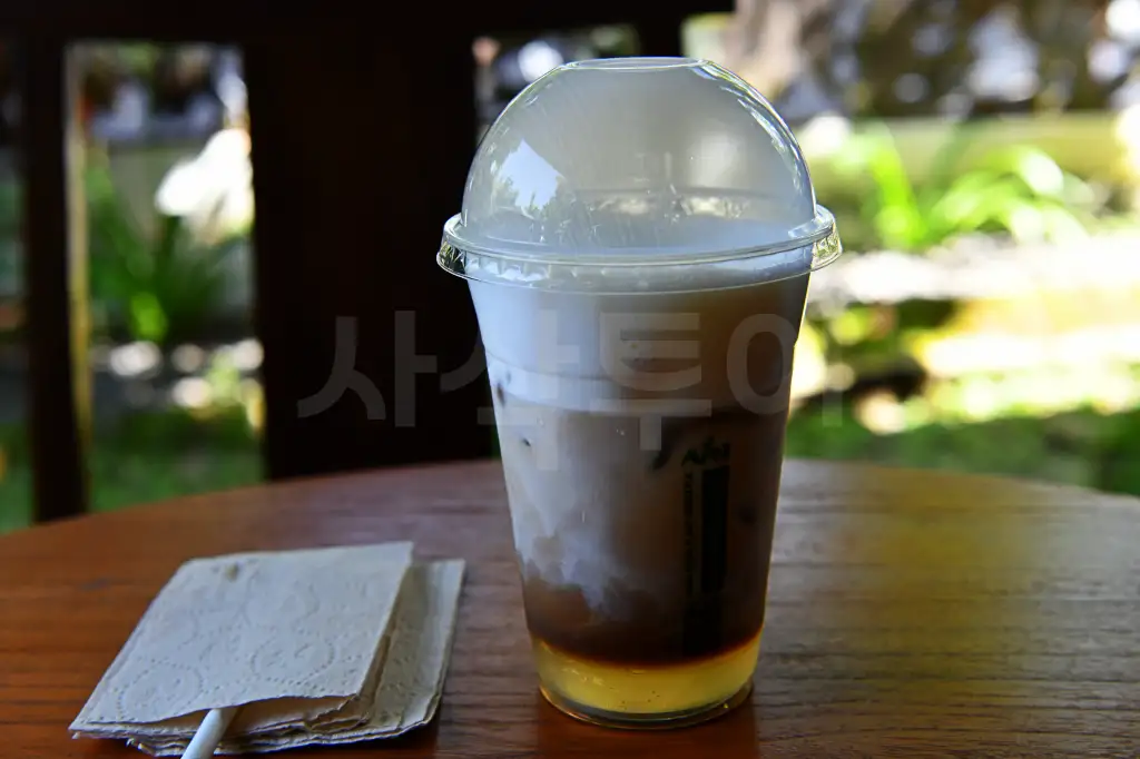 족자카르타 초콜렛 몽고DSC_7890.webp