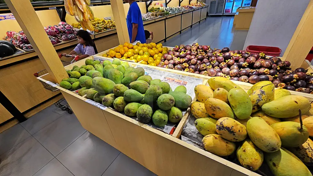 BANDAR BUAH20250612_180634.webp