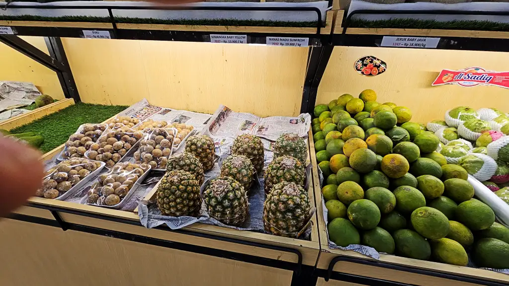 BANDAR BUAH20250612_180703.webp