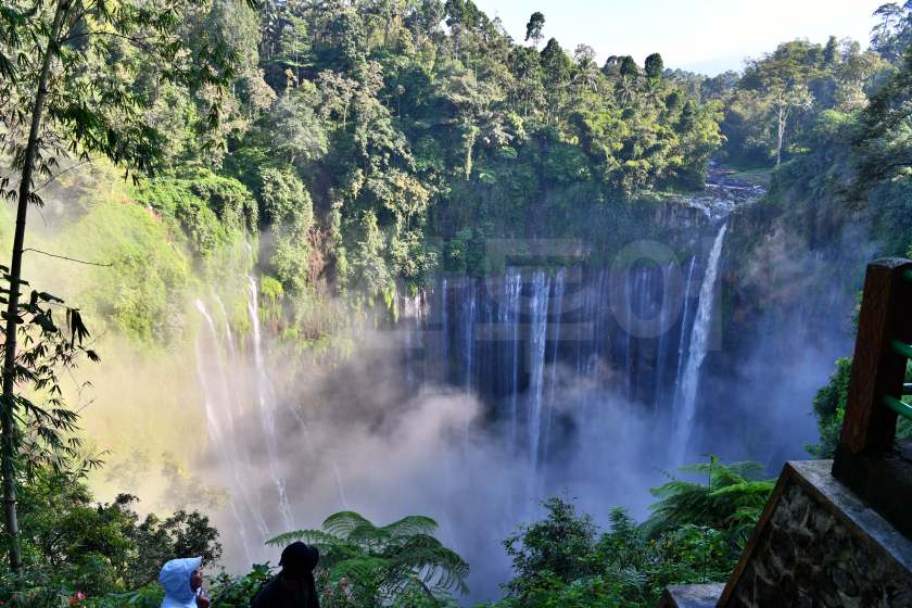 tumpaksewuDSC_0934.jpg