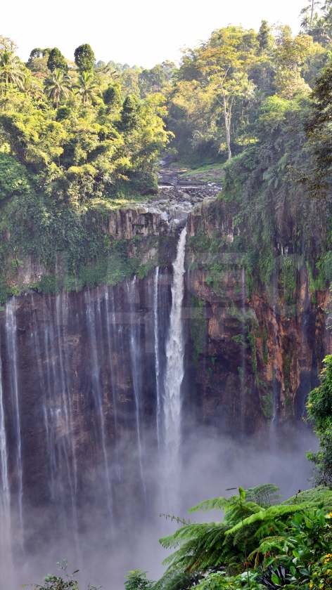 tumpaksewu2DSC_0941.jpg