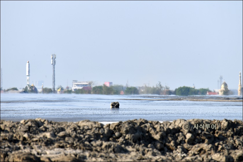 lumpur lapindo011.JPG