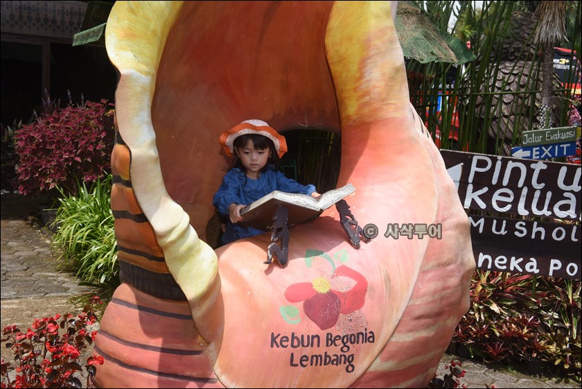taman begonia026.JPG